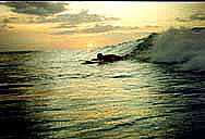 Surf & Sunset